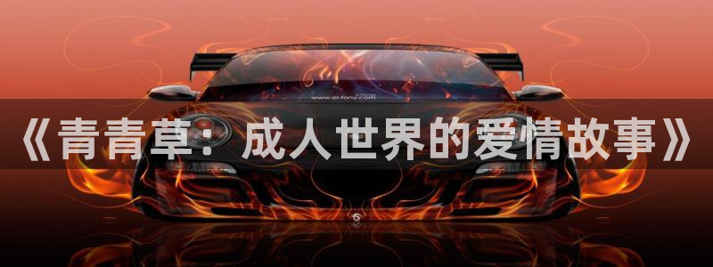 神马午夜影院达达兔