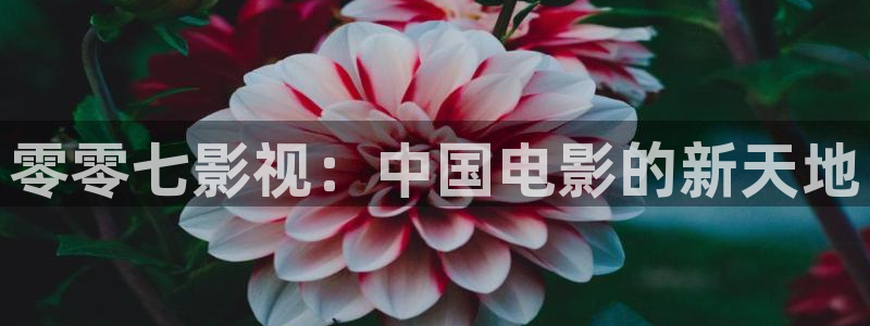 达达兔电影免费观看在线高清电影