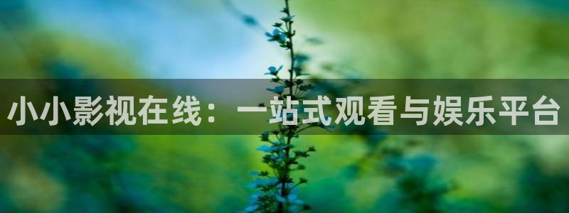 神马达达兔我不卡影院